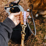 Multi Dog Attachment