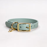 Sage - Classic Biothane Dog Collar