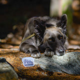 Mini Silicone Dog Treat Pouch