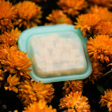 Mini Silicone Dog Treat Pouch