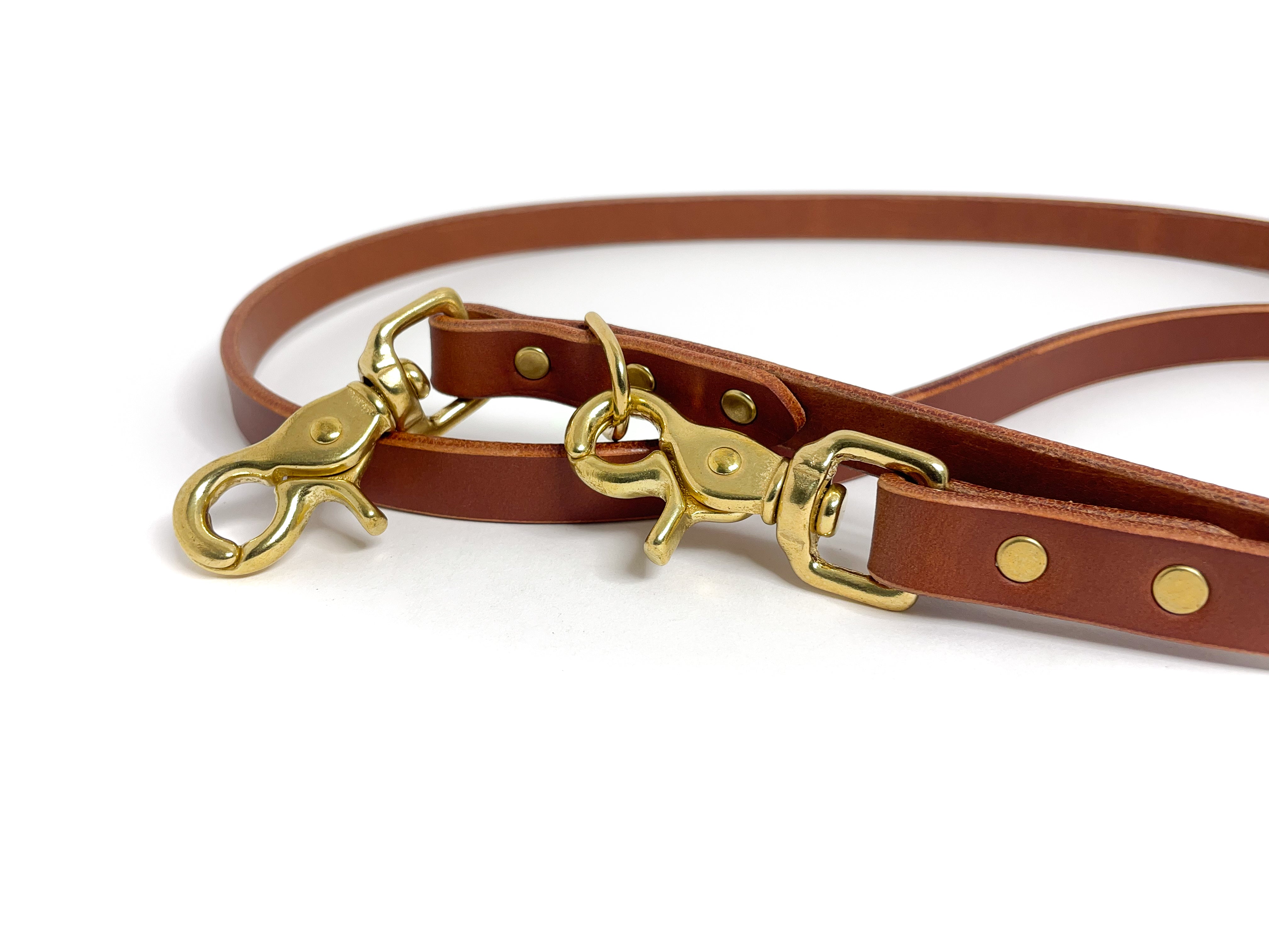Dog Leash