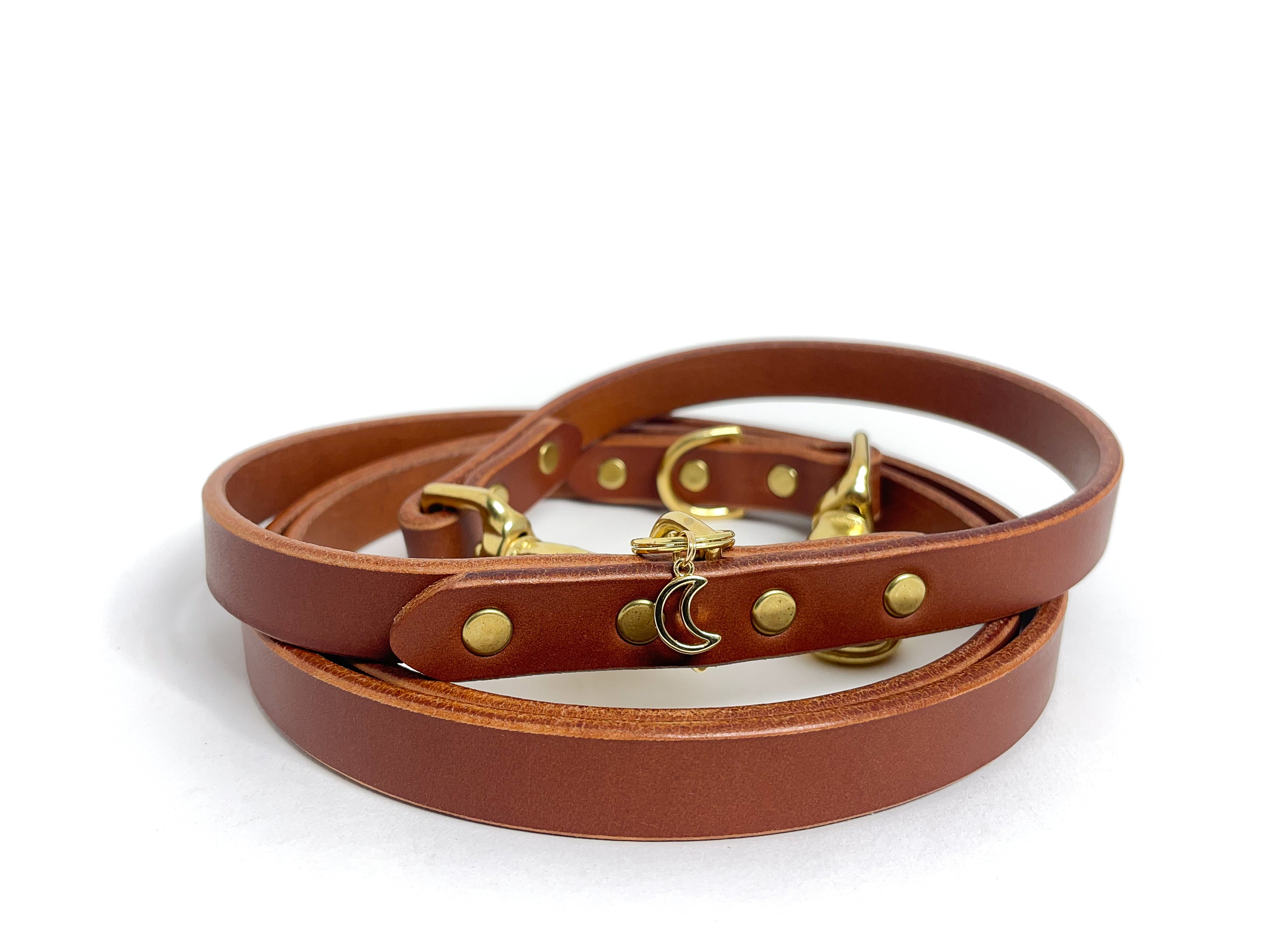 Leather Dog Leash