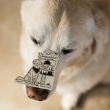 Let's Go Somewhere Sticker