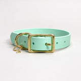 Seafoam - Classic Biothane Dog Collar