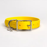 Canary - Classic Biothane Dog Collar