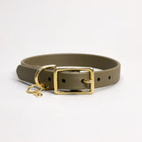 Moss - Classic Biothane Dog Collar