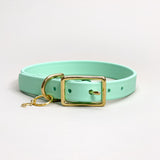 Seafoam - Classic Biothane Dog Collar