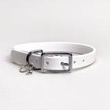 Frost - Classic Biothane Dog Collar