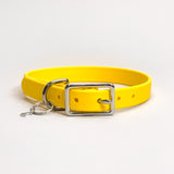 Canary - Classic Biothane Dog Collar