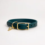 Cedar - Classic Biothane Dog Collar