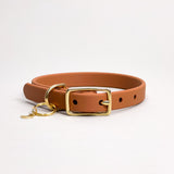 Terracotta - Classic Biothane Dog Collar