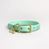 Seafoam - Classic Biothane Dog Collar