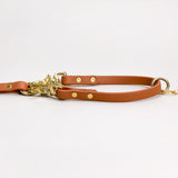 Biothane Long Line with Detachable Handle
