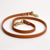 Terracotta - Classic Biothane Dog Leash