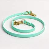 Seafoam - Classic Biothane Dog Leash