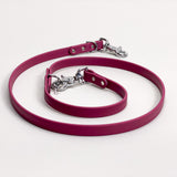 Pinot - Classic Biothane Dog Leash