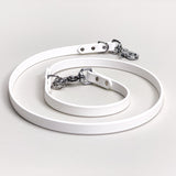 Frost - Classic Biothane Dog Leash
