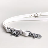 Frost - Classic Biothane Dog Leash