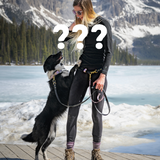 Mystery Handsfree Adapters