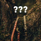 Mystery Biothane Classic Leashes