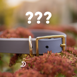 Mystery Biothane Classic Collars