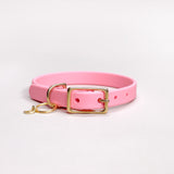 Bubblegum - Classic Biothane Dog Collar