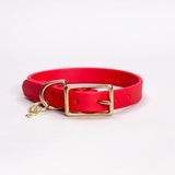 Cherry - Classic Biothane Dog Collar