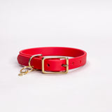 Cherry - Classic Biothane Dog Collar