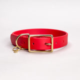 Cherry - Classic Biothane Dog Collar