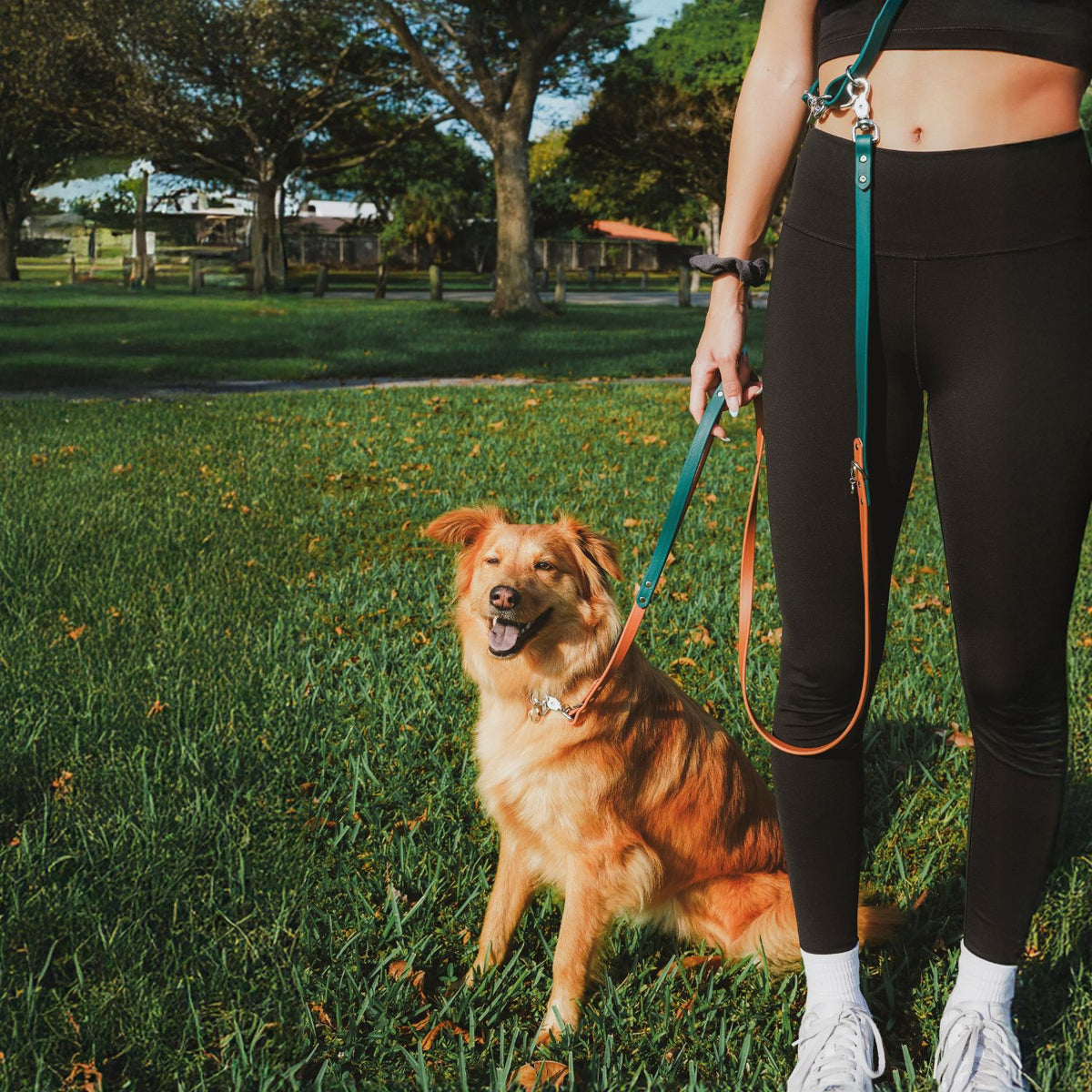Hands-free leash adapter worn across the body
