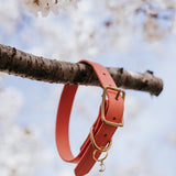 Hibiscus - Classic Biothane Dog Collar