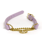 Biothane Martingale Dog Collar