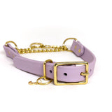 Biothane Martingale Dog Collar