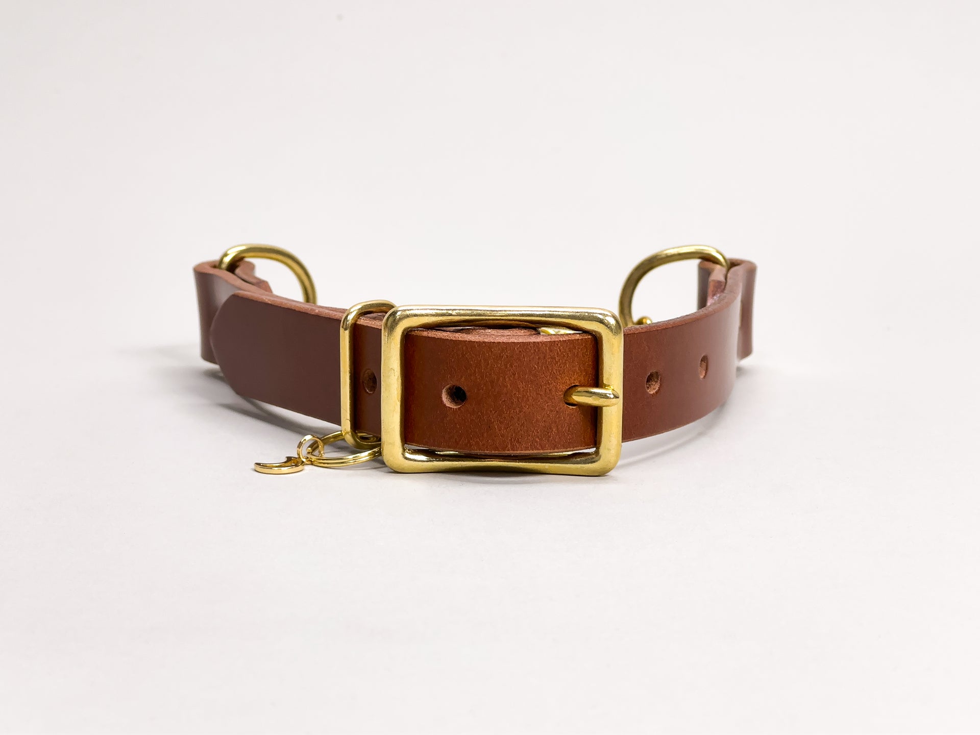 Leather Martingale Dog Collar