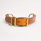 Leather Martingale Dog Collar