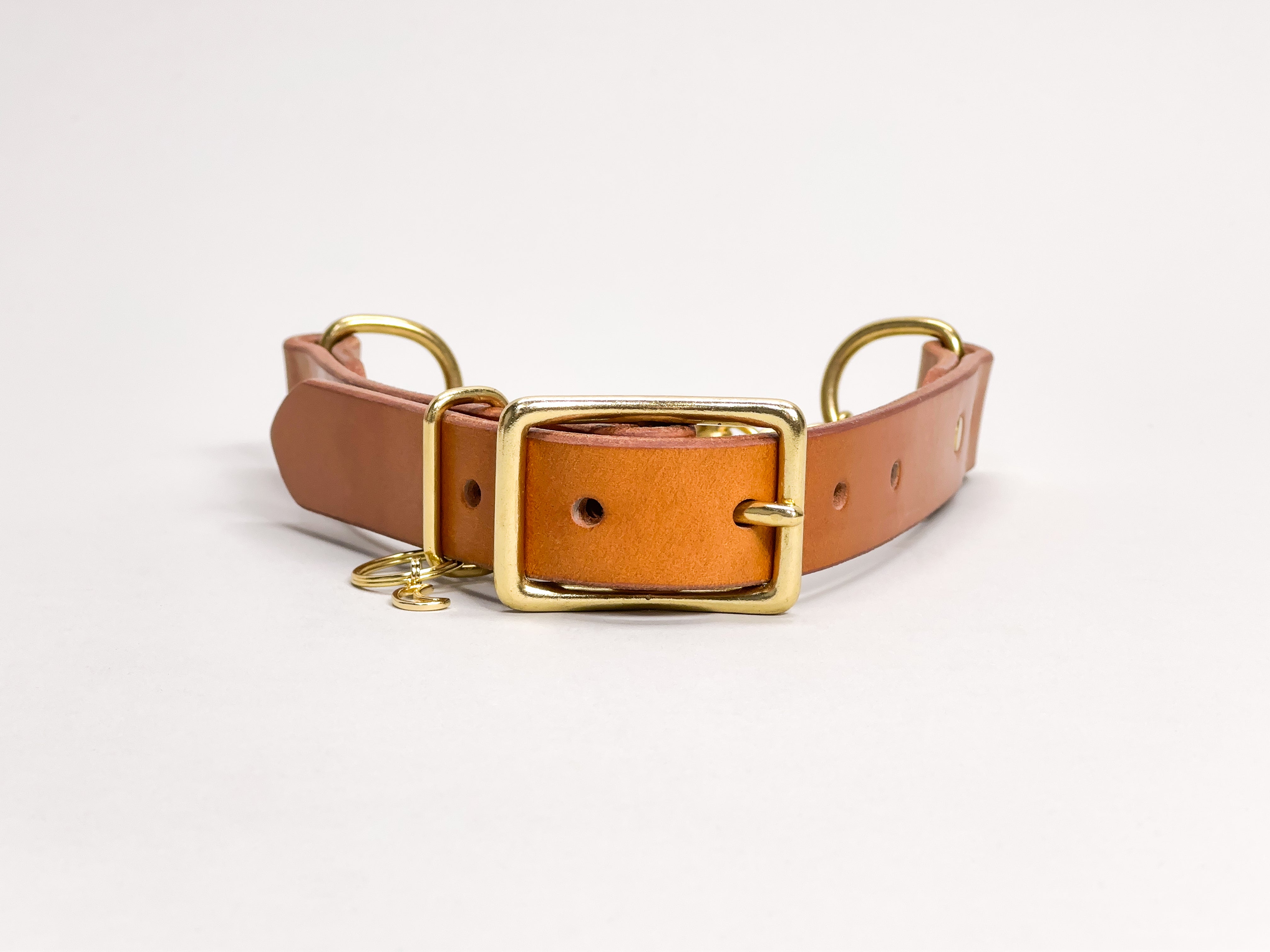 Strange Tails  Leather martingale collar with solid brass hardware
