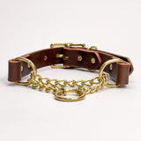 Leather Martingale Dog Collar