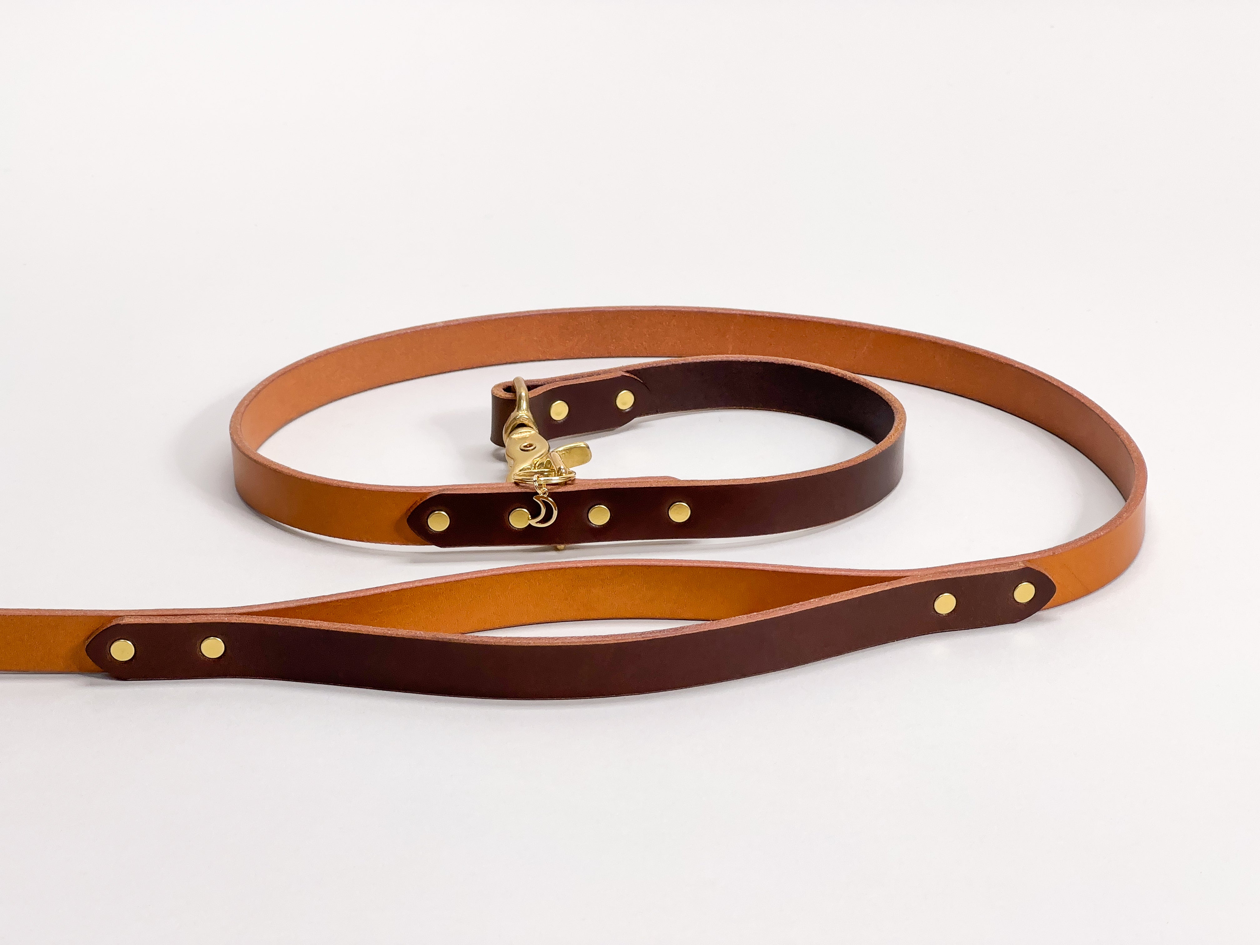 Strange Tails  Leather martingale collar with solid brass hardware