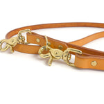 Dog Leash