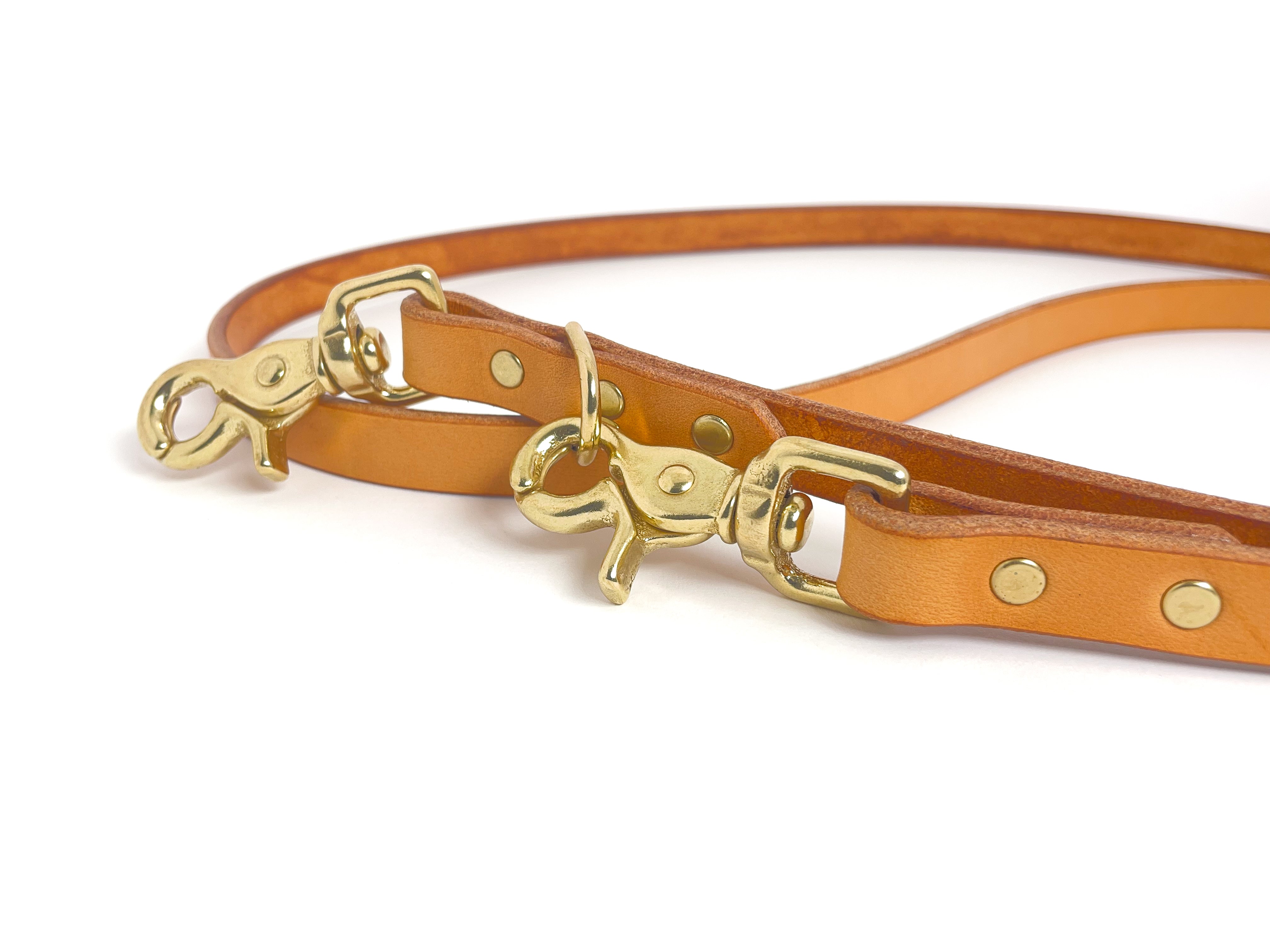 Dog Leash