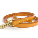 Leather Dog Leash